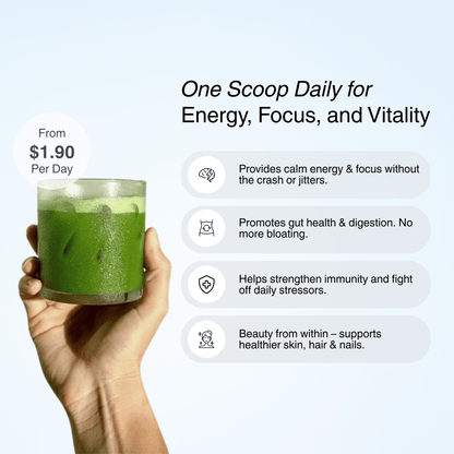 Matcha Gold™